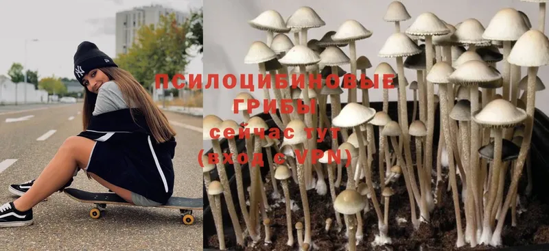 Галлюциногенные грибы MAGIC MUSHROOMS  Октябрьский 